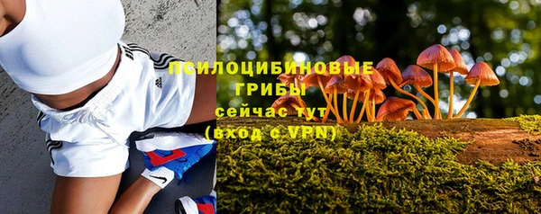 ALPHA PVP Кодинск