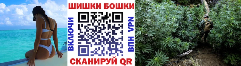 Купить  Гай  Канабис ГИДРОПОН 